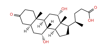 3-Keto allocholic acid